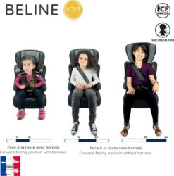 Nania - Autostoel BELINE Animals - Groep 1/2/3 - Meegroeistoel - Van 9 Tot 36 Kg - FLAMINGO -Lionelo Winkel 1187x1200