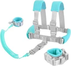 MijnNami 2 In 1 Harnas En Polstuigje – Kindertuigje En Polstuigje Met Slot – Mint -Lionelo Winkel 1200x1118 5