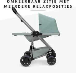 Quinny Zapp Flex Plus Buggy - Frost On Grey -Lionelo Winkel 1200x1150 18