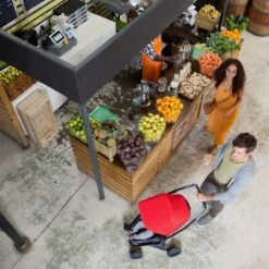 Quinny Zapp Flex Plus Buggy - Frost On Grey -Lionelo Winkel 1200x1200 166