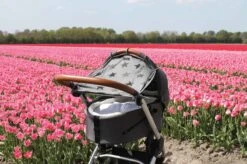 Dooky Universal Cover Zonnescherm Kinderwagen - Grey Stars 23 Dooky Universal Cover Zonnescherm Kinderwagen - Grey Stars -Lionelo Winkel 1200x799 25