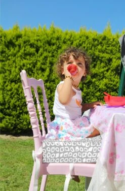 Babyjem Booster Chair Grey -Lionelo Winkel 789x1200 4