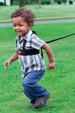 Diono - Sure Steps - Kindertuigje Met Looplijn - Looptuigje Voor Kinderen Van Ca. 1-4 Jaar -Lionelo Winkel 800x1200 116