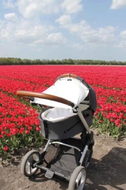 Dooky Universal Cover Zonnescherm Kinderwagen - Crème -Lionelo Winkel 800x1200 91