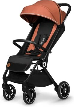 Lionelo Buggy Cloe - Kinderwagen Premium + - Tot 22 Kg - Verstelbare Rugleuning - 5-punts Veiligheidsgordels - Grote Zwenkwielen - Klamboe - Bekerhouder - Lichtgewicht - Compact - Waterdicht 22 Lionelo Buggy Cloe - Kinderwagen Premium + - Tot 22 Kg - Verstelbare Rugleuning - 5-punts Veiligheidsgordels - Grote Zwenkwielen - Klamboe - Bekerhouder - Lichtgewicht - Compact - Waterdicht -Lionelo Winkel 830x1200 1
